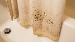 Muffa sulla tenda della doccia: il trucco da 30 minuti che la pulisce davvero