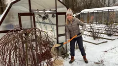 Dopo l’inverno il prato diventa duro come il cemento: ecco un semplice trucco per farlo tornare a respirare